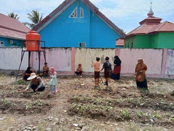 Penanaman Ubi