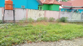 Penanaman Ubi
